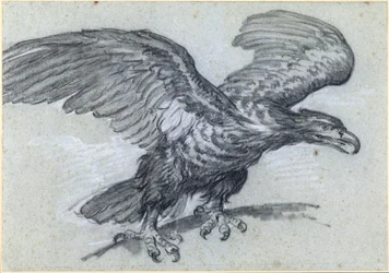 Ein Adler, 1811